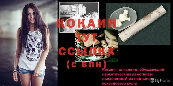 прущие грибы Мурманск