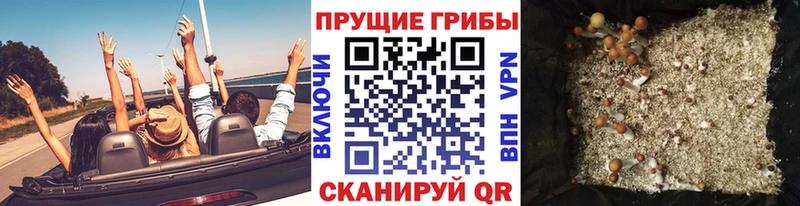 Галлюциногенные грибы GOLDEN TEACHER  Нерехта 